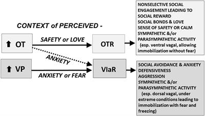 The Oxytocin–Vasopressin Pathway in the Context of Love and Fear